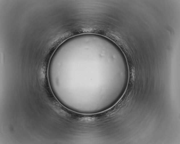 X0000113580691200910161540