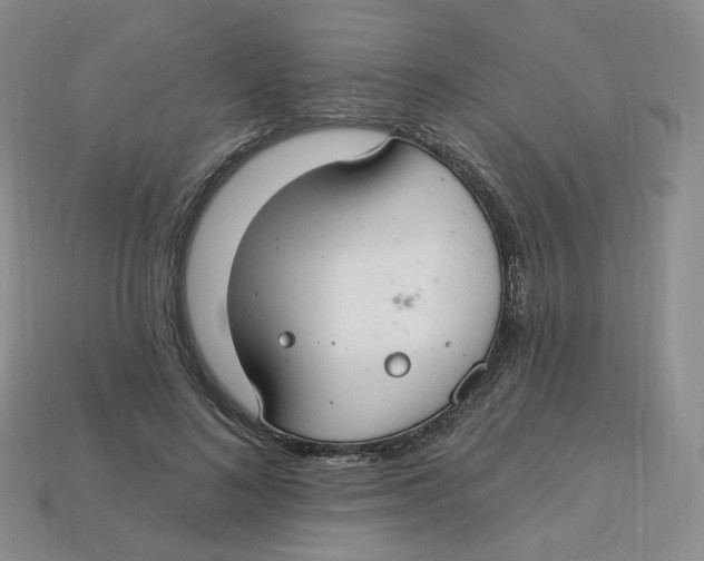 X0000113580692200910161540