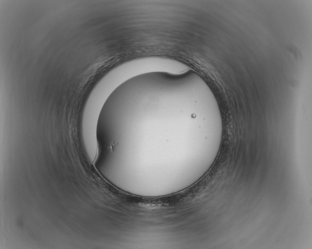 X0000113580693200910161540