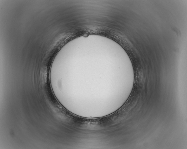 X0000113580694200910161540