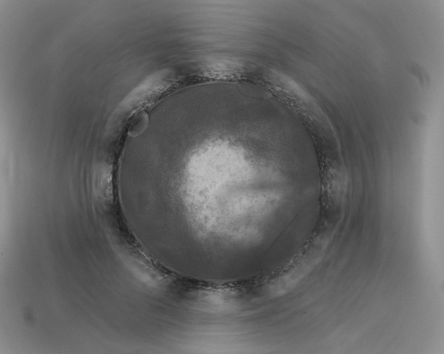 X0000113580696200910161540