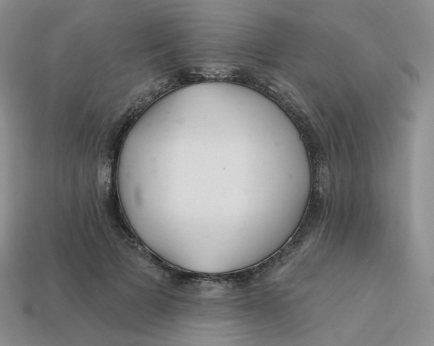 X0000113580697200910161540