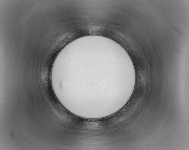 X0000113580698200910161540