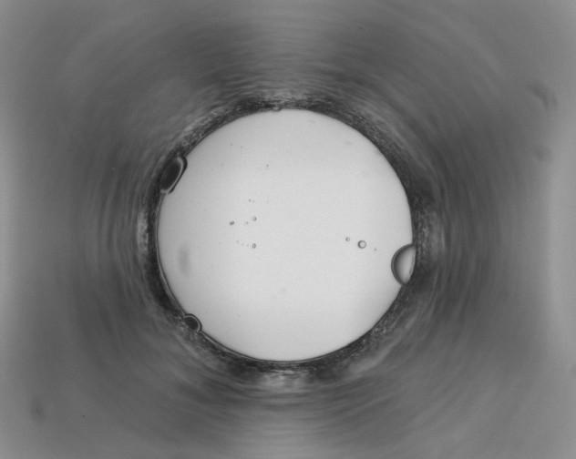 X0000113580700200910161540