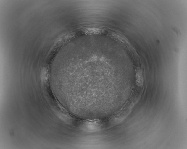 X0000113580701200910161540