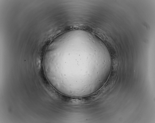 X0000113580703200910161540