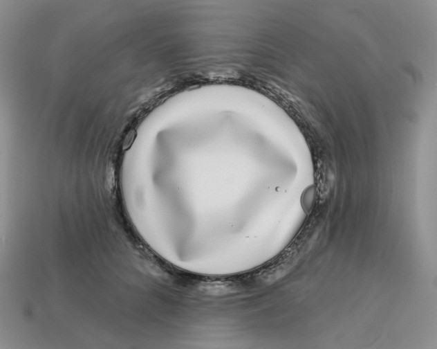 X0000113580704200910161540