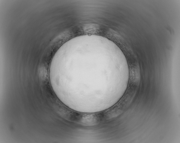 X0000113580705200910161540