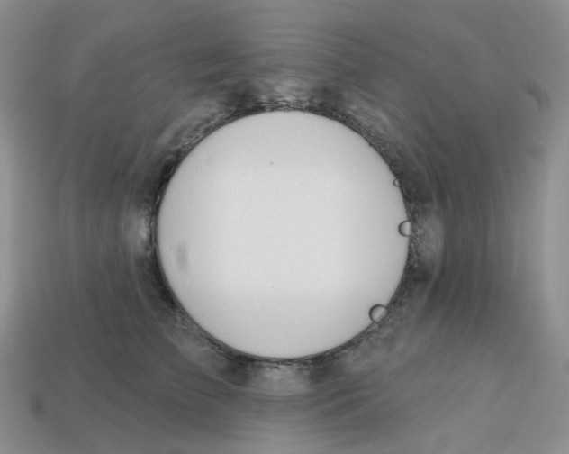 X0000113580709200910161540