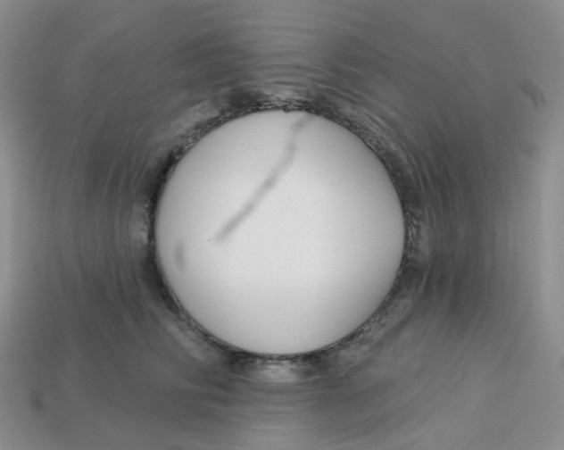 X0000113580710200910161540