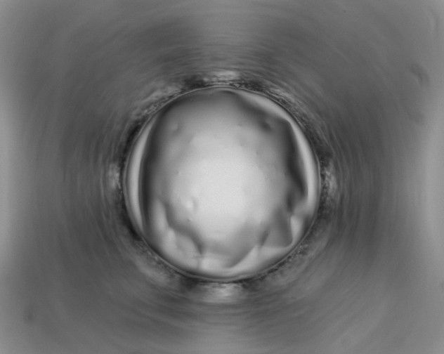 X0000113580711200910161540