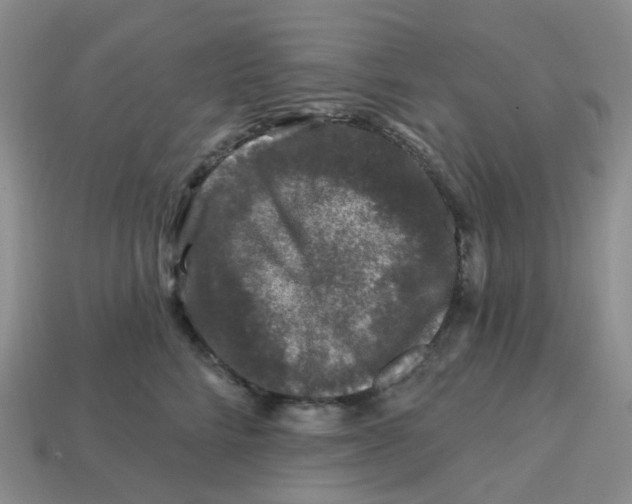 X0000113580712200910161540