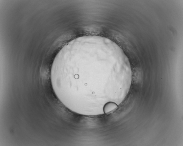 X0000113580713200910161540