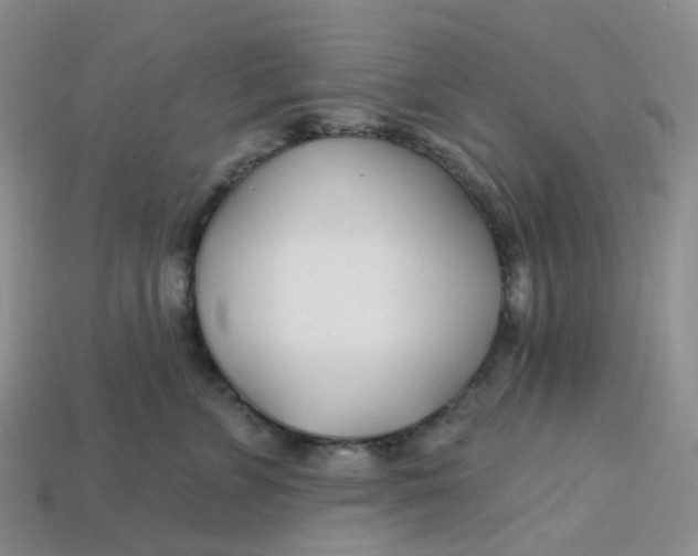 X0000113580715200910161540