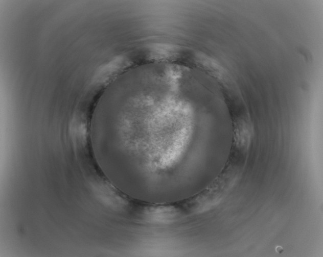 X0000113580716200910161540