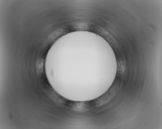 X0000113580717200910161540