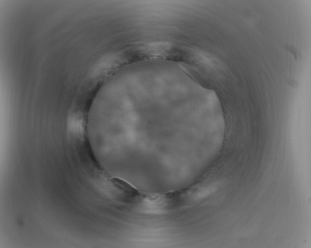 X0000113580720200910161540