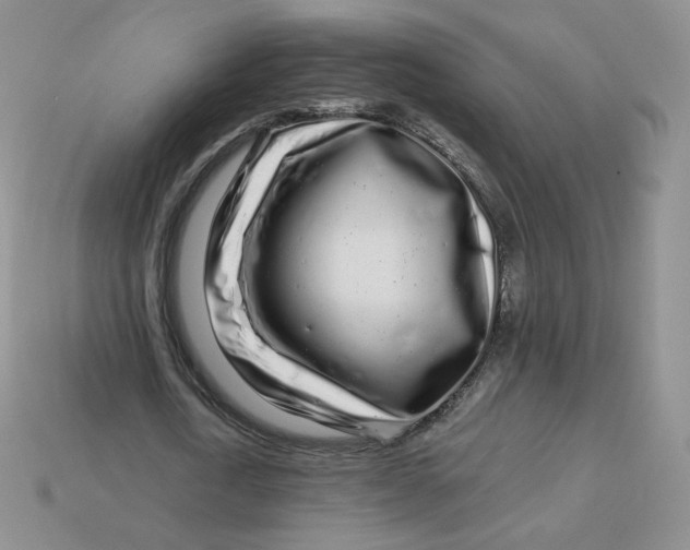 X0000113580722200910161539