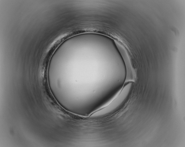 X0000113580723200910161539