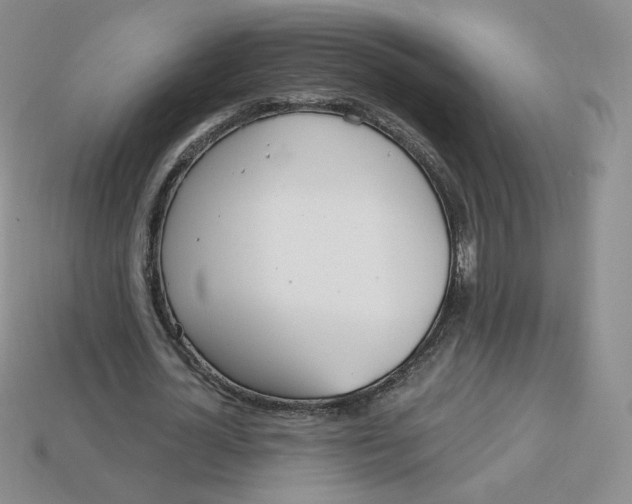 X0000113580724200910161539