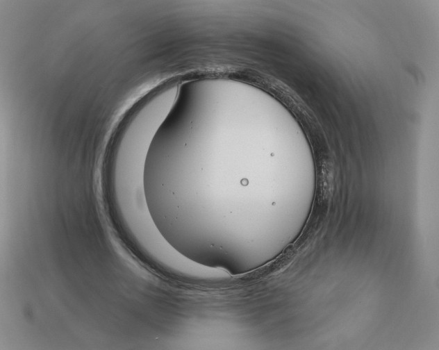 X0000113580726200910161539