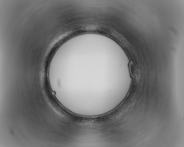 X0000113580728200910161539