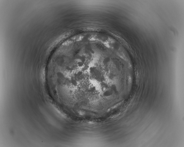 X0000113580729200910161539