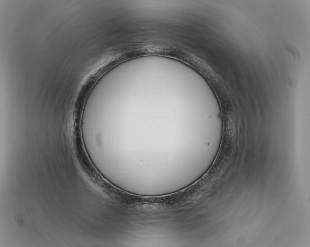 X0000113580730200910161539