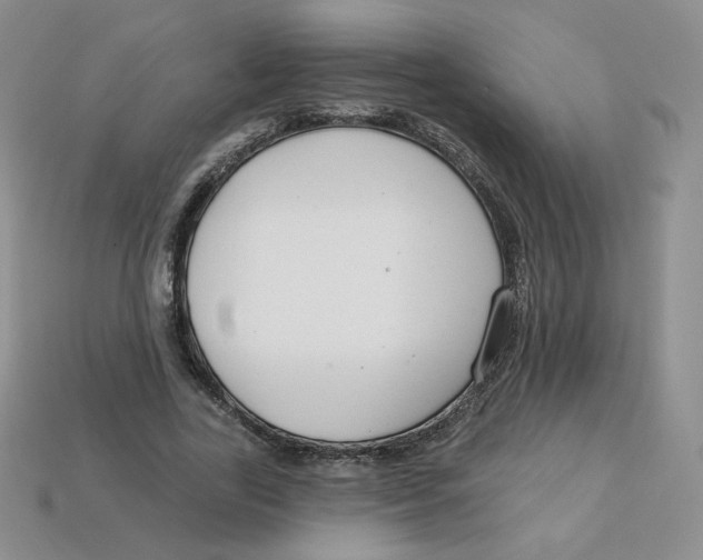 X0000113580731200910161539