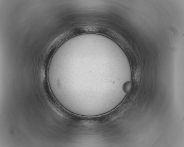 X0000113580733200910161539