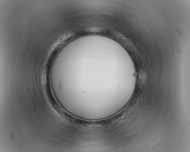 X0000113580734200910161539