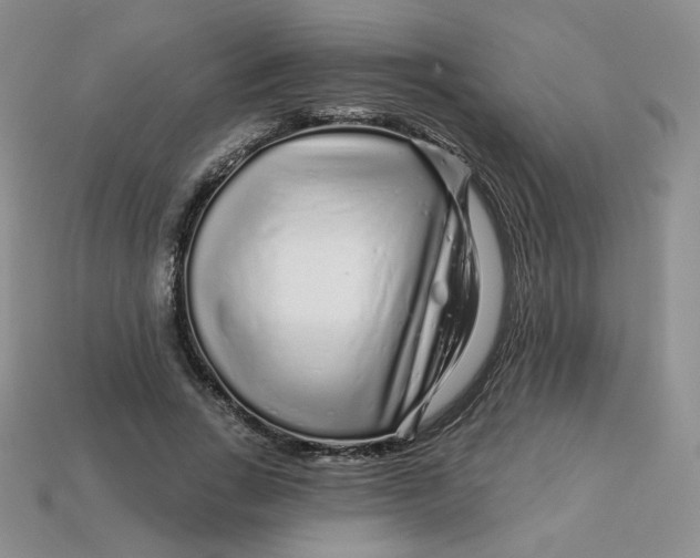 X0000113580735200910161539