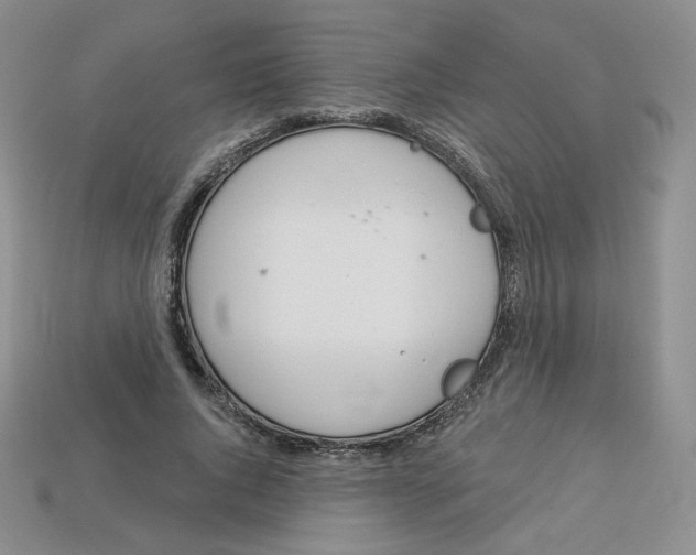 X0000113580736200910161539