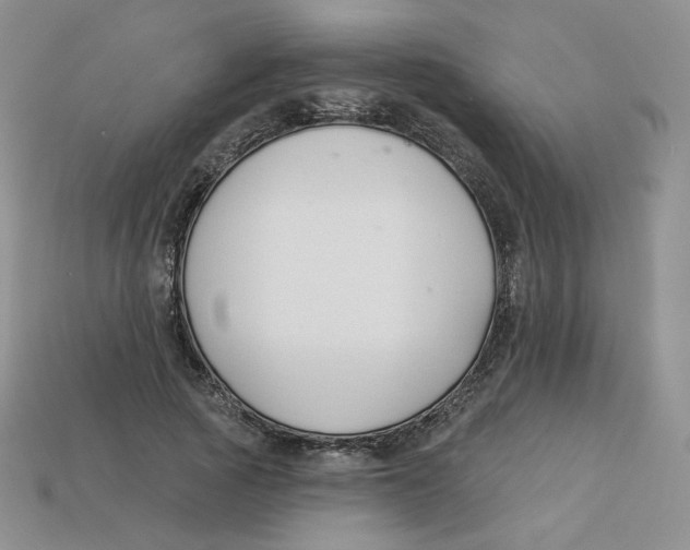 X0000113580737200910161539