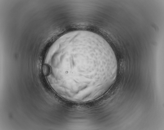 X0000113580739200910161539