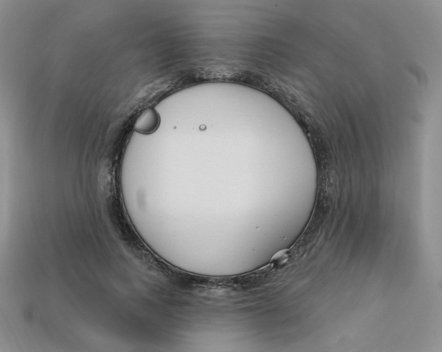 X0000113580743200910161539