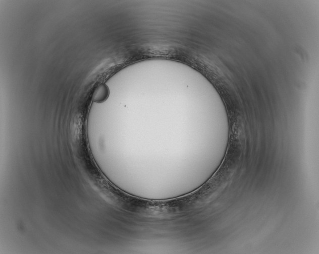 X0000113580744200910161539