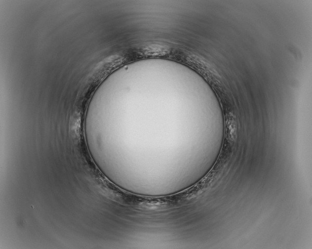 X0000113580745200910161539