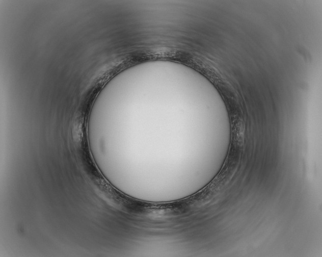 X0000113580746200910161539