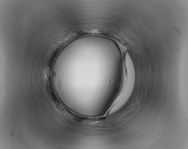 X0000113580747200910161539