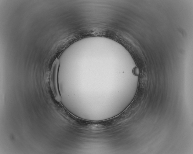 X0000113580748200910161539