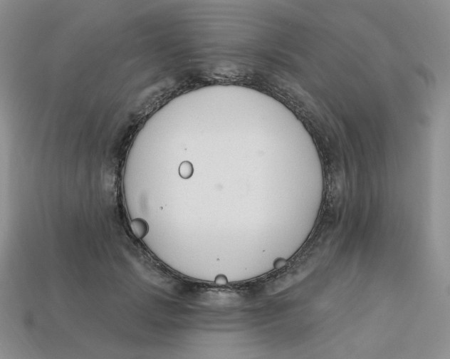 X0000113580749200910161539