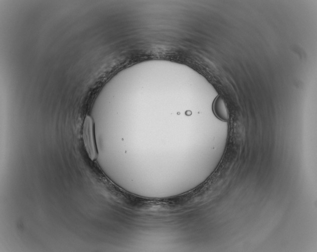 X0000113580750200910161539