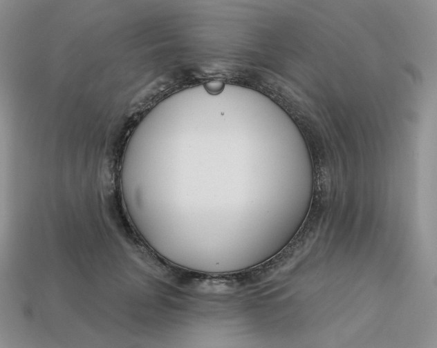 X0000113580751200910161539