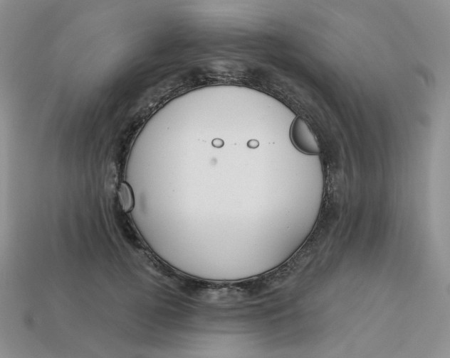 X0000113580752200910161539