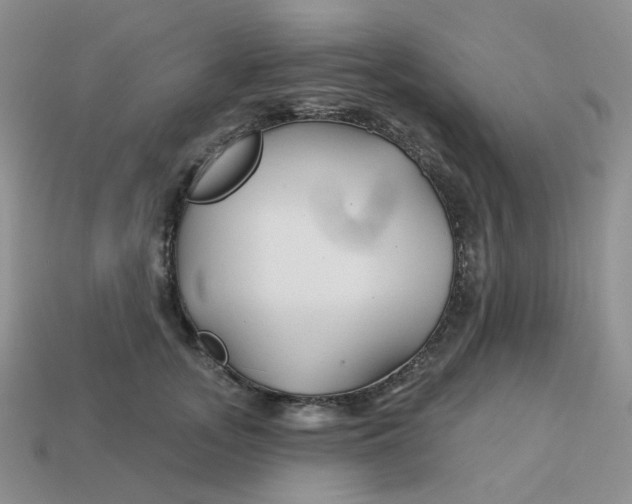 X0000113580755200910161539