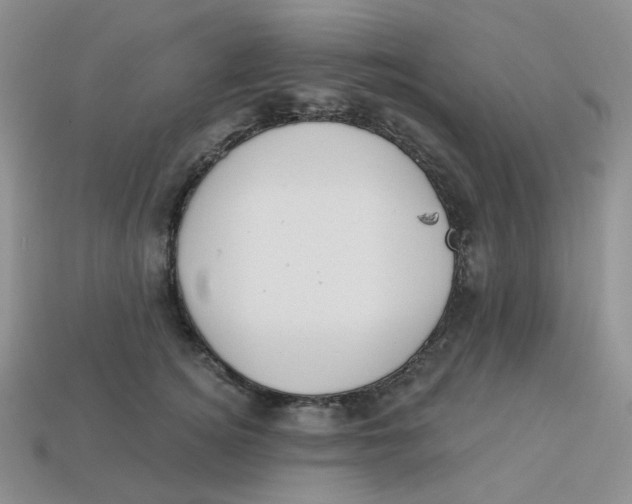 X0000113580756200910161539