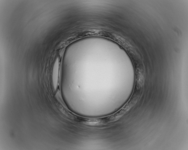 X0000113580758200910161540