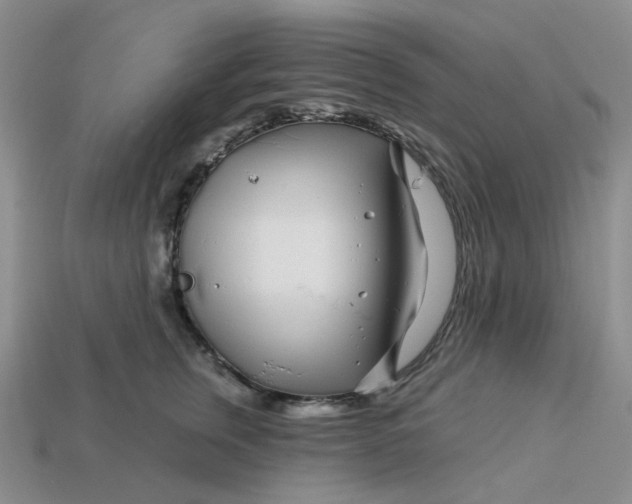 X0000113580759200910161540