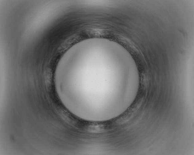 X0000113580760200910161540